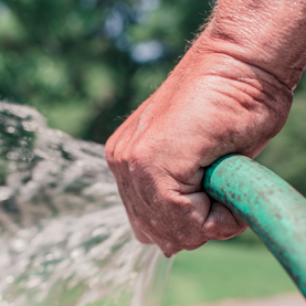 World Series Mission World Series Mission